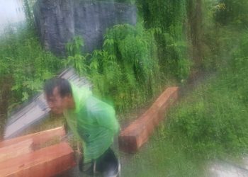 Pembalakan Liar di Bukit Tui Kota Padang Panjang  di Saat Hujan