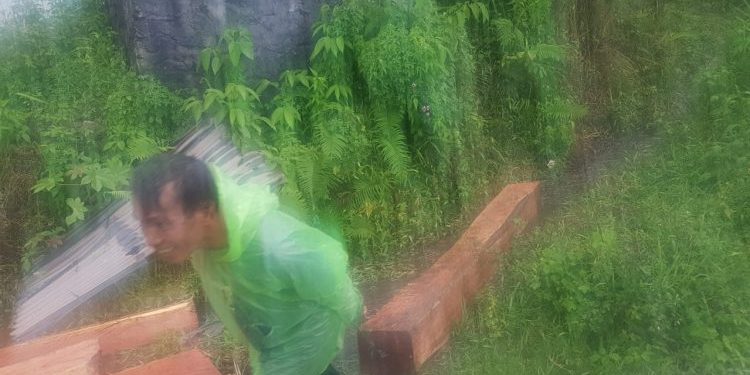 Pembalakan Liar di Bukit Tui Kota Padang Panjang  di Saat Hujan