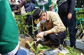 Al Haris Dorong Porang Jadi Komiditi Unggulan