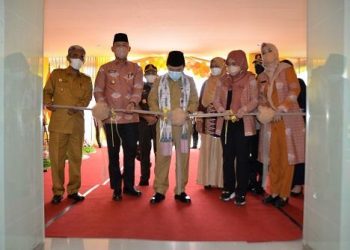 Gubernur Al Haris Upayakan Pemerataan Dokter Spesialis