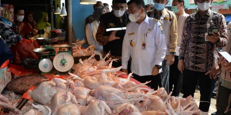Gubernur Al Haris Pastikan Harga Bahan Pokok Stabil Jelang Idul Fitri