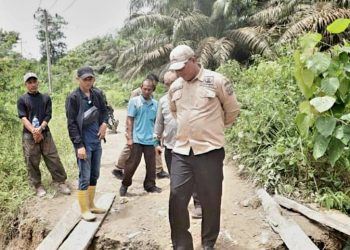 Wabup Hairan Tinjau Langsung Kondisi Jembatan Desa Lubuk Bernai