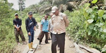 Wabup Hairan Tinjau Langsung Kondisi Jembatan Desa Lubuk Bernai