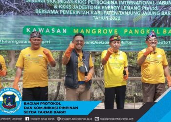 Bupati UAS Bersama Wagub Hadiri Kegiatan Program Penghijauan Hulu Migas di Kawasan Mangrove Pangkal Babu