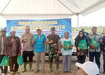 Bupati Tanjung Jabung Barat Hadiri Tanam Padi Perdana