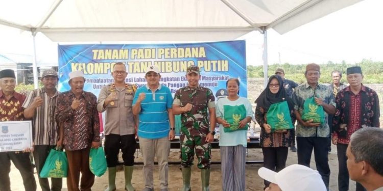 Bupati Tanjung Jabung Barat Hadiri Tanam Padi Perdana