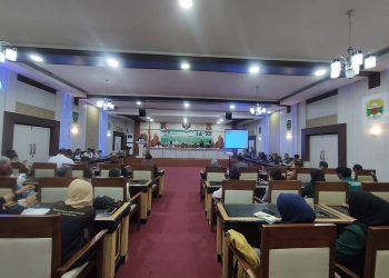 Fadli Sudria Sebut DPRD Provinsi Jambi Sudah Alokasikan KLHS untuk Tambang Rakyat