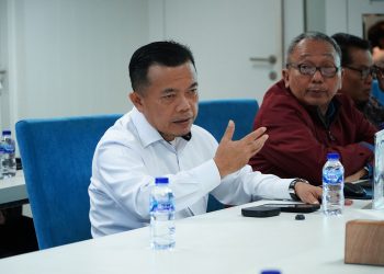 Gubernur Al Haris Temui Dirjen Pembiayaan Infrastruktur Bahas Rencana Hibah ANHA untuk Kelola Danau Sipin